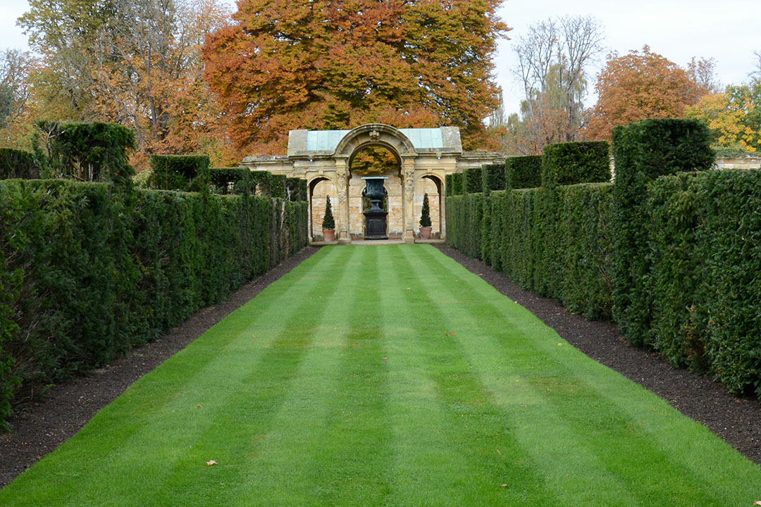 The Step-by-Step Lawn Renovation Process Explained - Formby Gardener